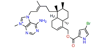 Agelasine G